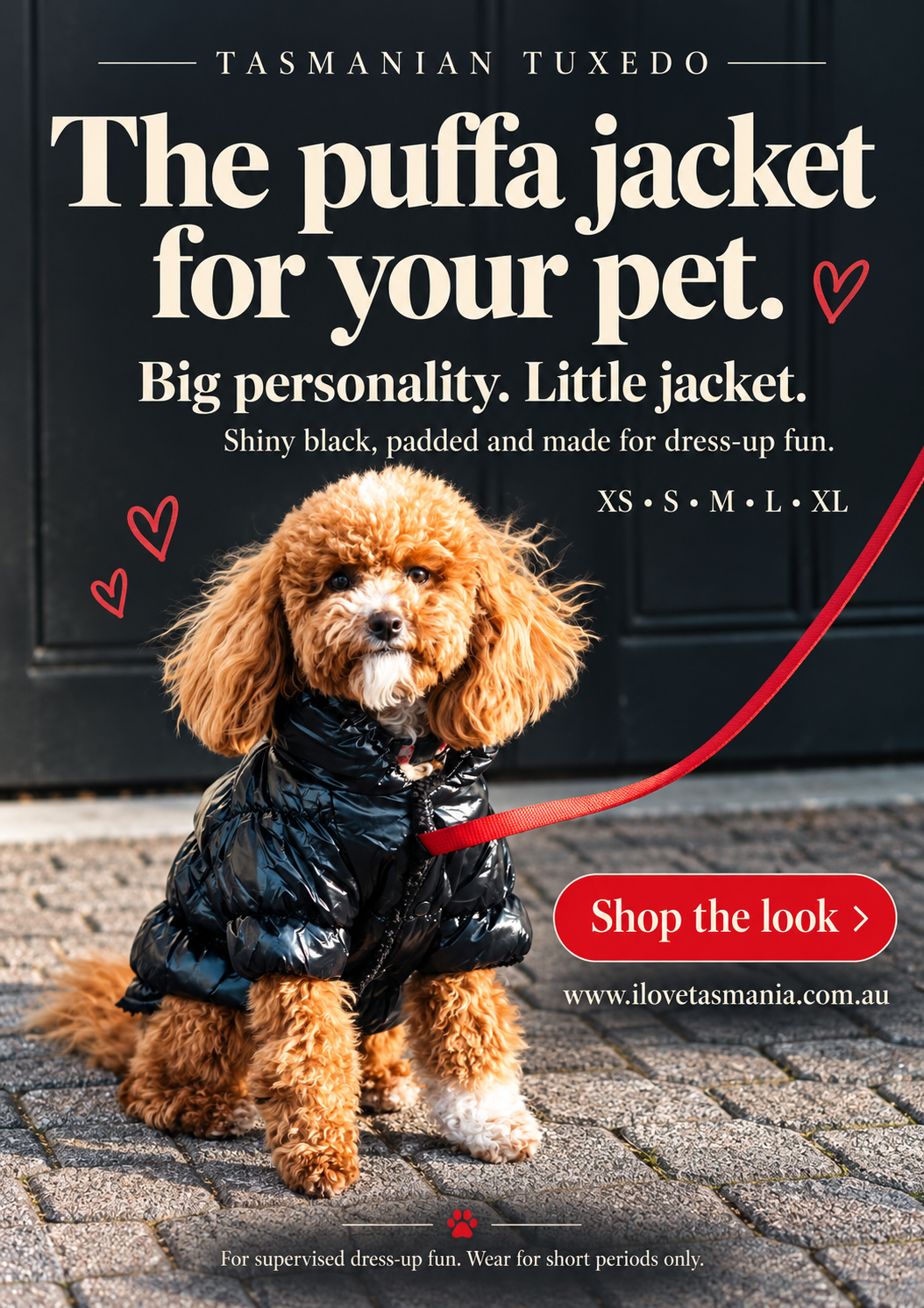 Tasmanian Tuxedo puffa jacket