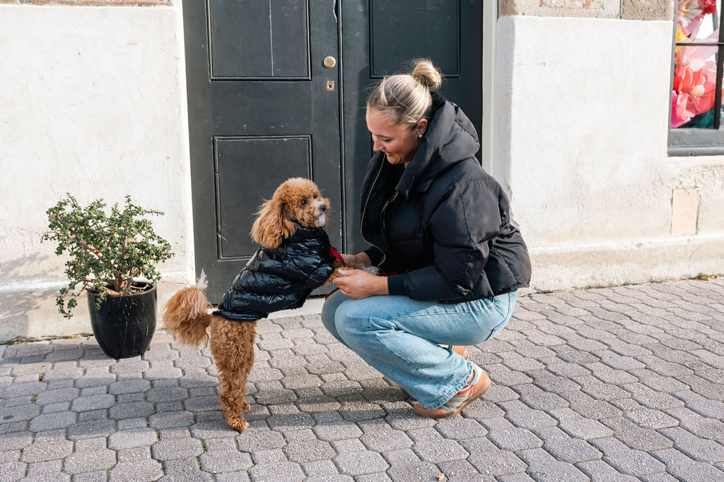 Tasmanian Tuxedo puffa jacket